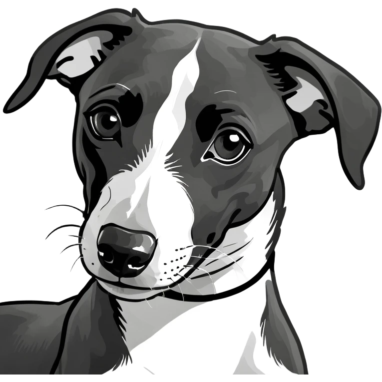 Black and white whippet puppy  emoji