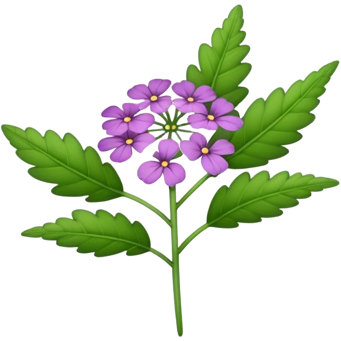 single Verbena flower, leaf emoji