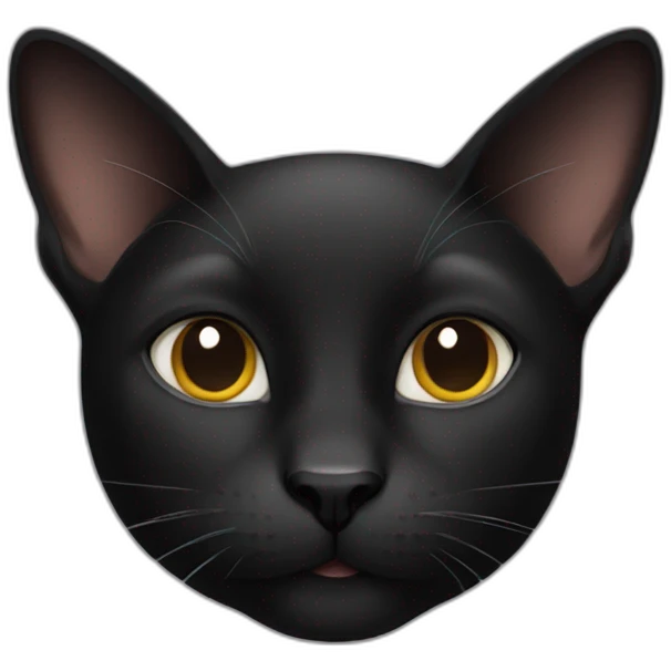 French black cat emoji