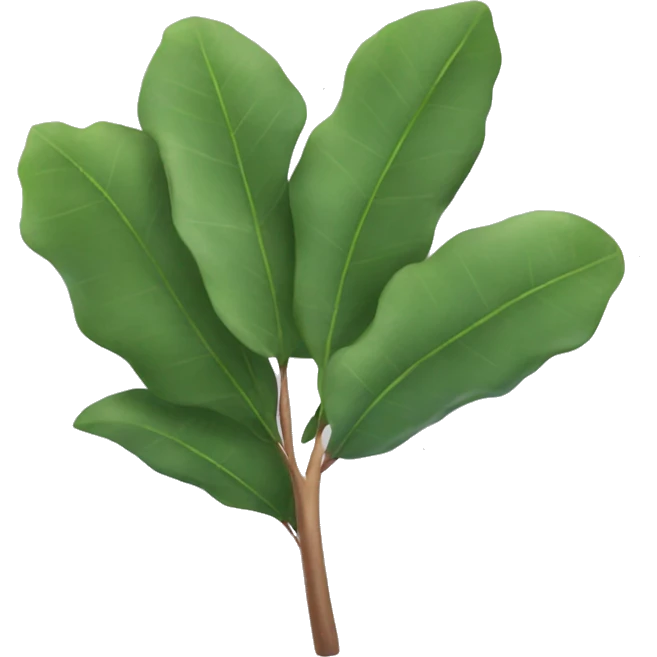 eucalyptus emoji