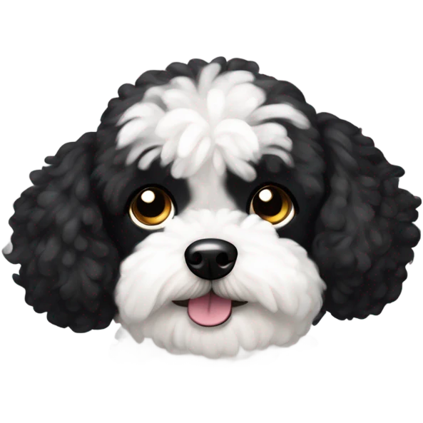 Black and white  maltipoo emoji