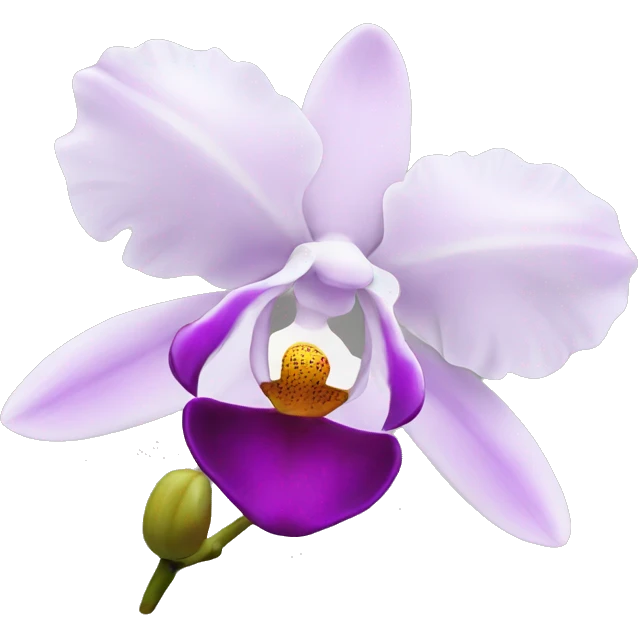 Orchid emoji