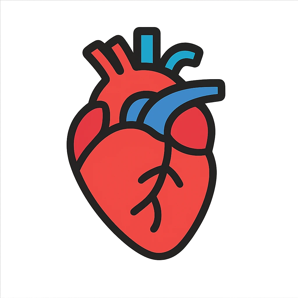 anatomically correct human heart, minimal flat design emoji