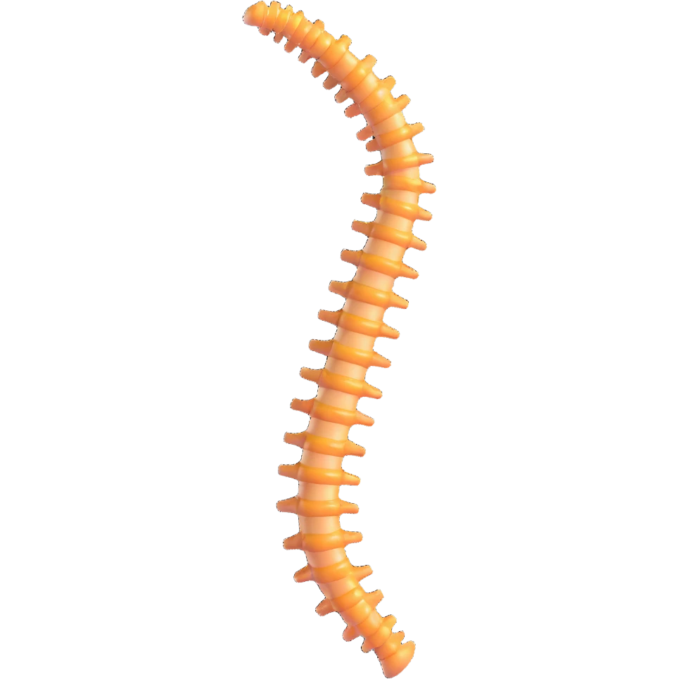 human spine, anatomical, floating emoji