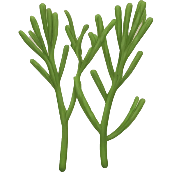 caraway seeds emoji