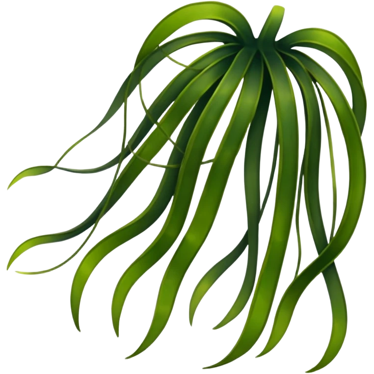 Kelp emoji