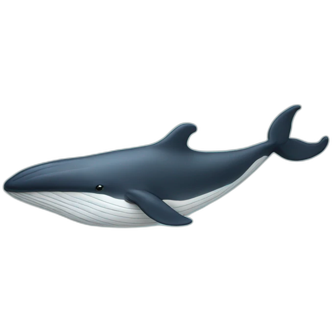 whale with btc emoji
