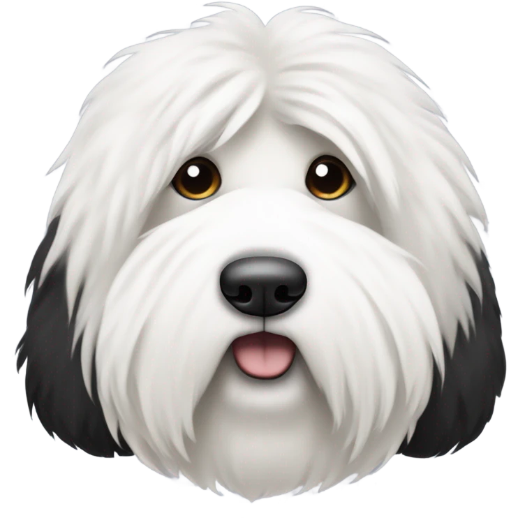Old English sheepdog with a half and half face like a black (left) and white (right) cookie emoji