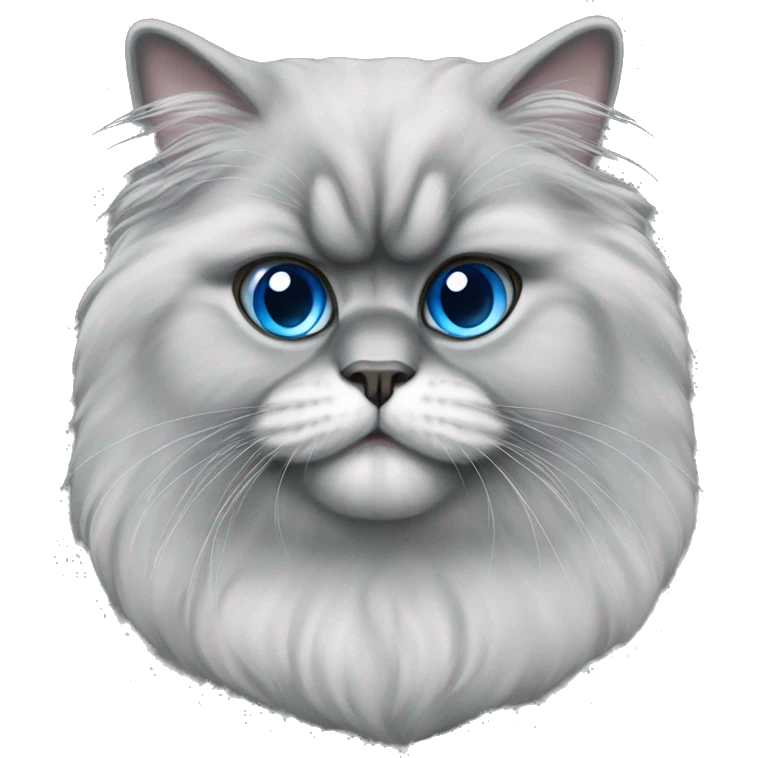 Persian cat with gray wool and blue eyes  emoji