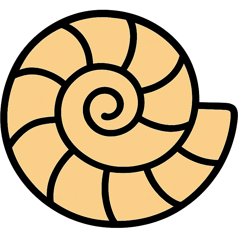 Beige ammonite fossil shell with spiral pattern and black outlines emoji