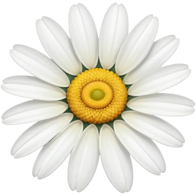 A white daisy  emoji