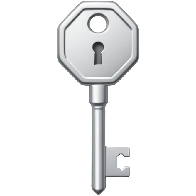 small silver metal key with hexagonal head and the word NATIONAL engraved, clean lines, soft silver tone, minimalistic and precise emoji