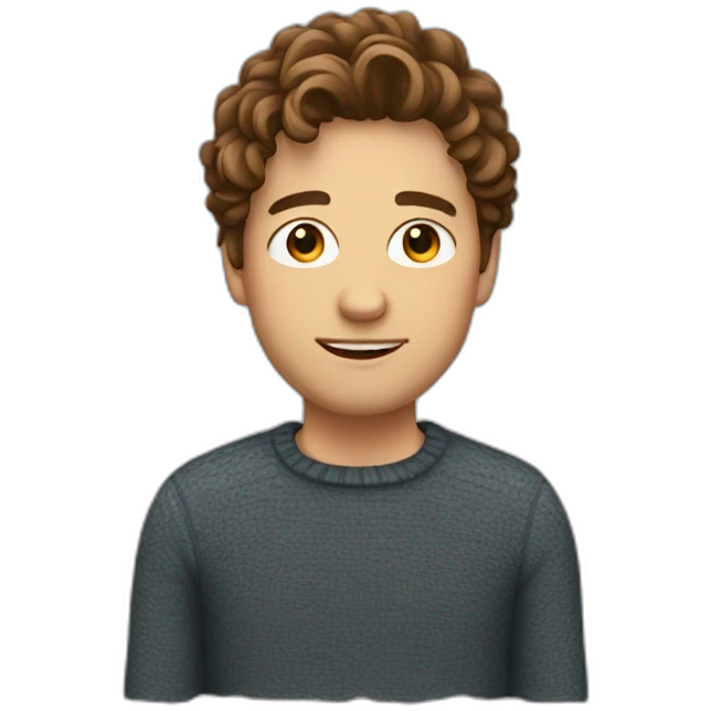Guy with brown wavy hair and jumper emoji