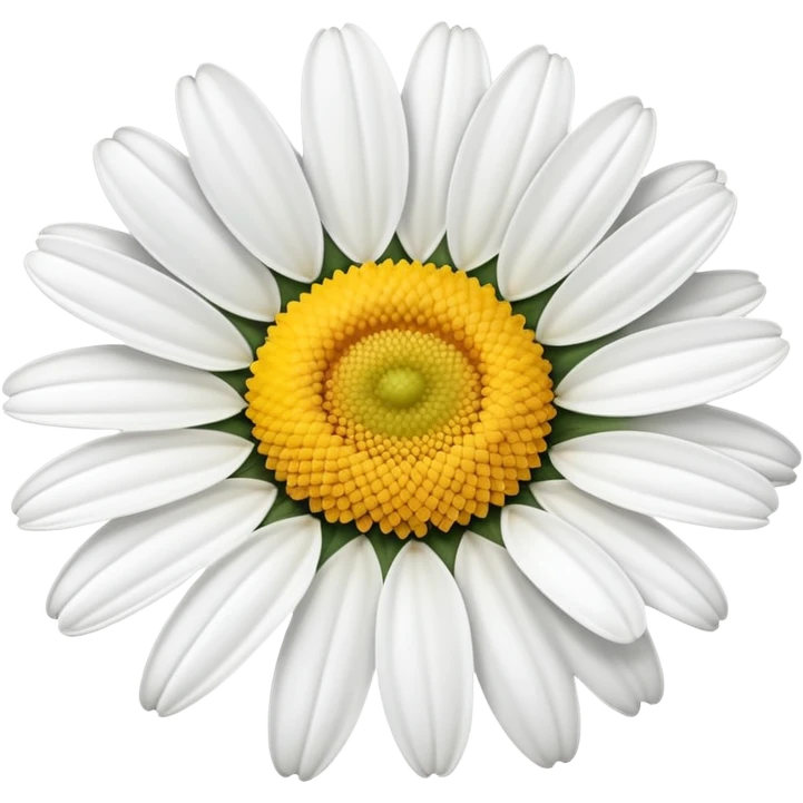 White daisy with yellow center  emoji