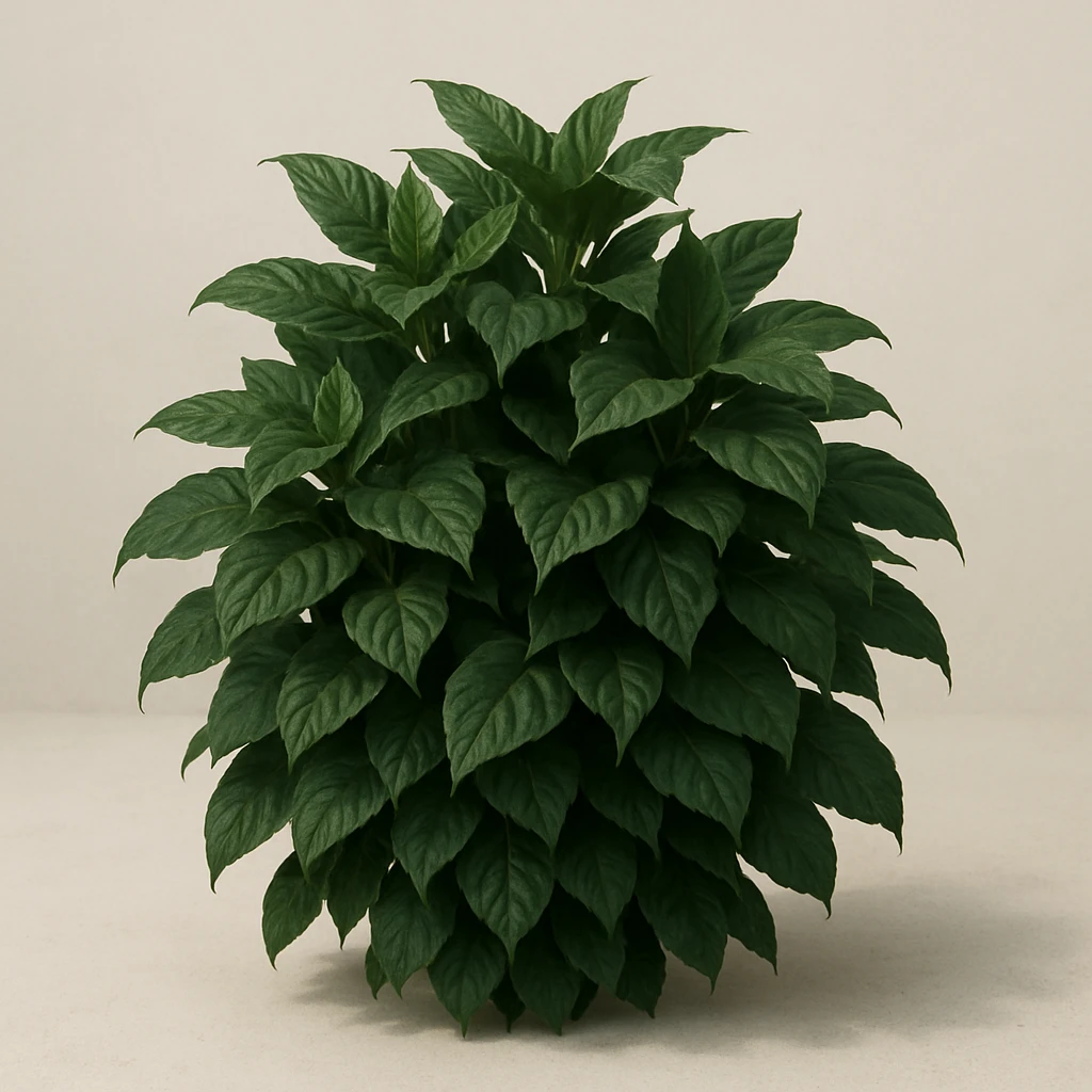 dark green organic plant with realistic foliage, layered leaves, no visible soil, subtle shadow emoji