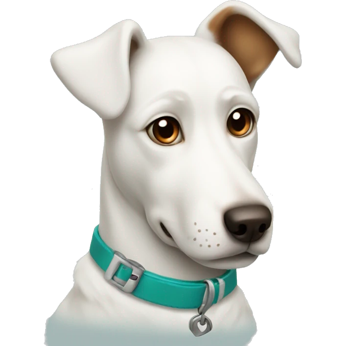 White dog with teal collar and brown spot around one eye  emoji