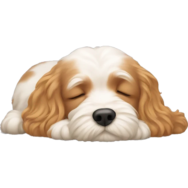 cavapoo sleeping  emoji