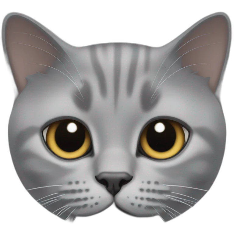 British Shorthair cat peaking emoji