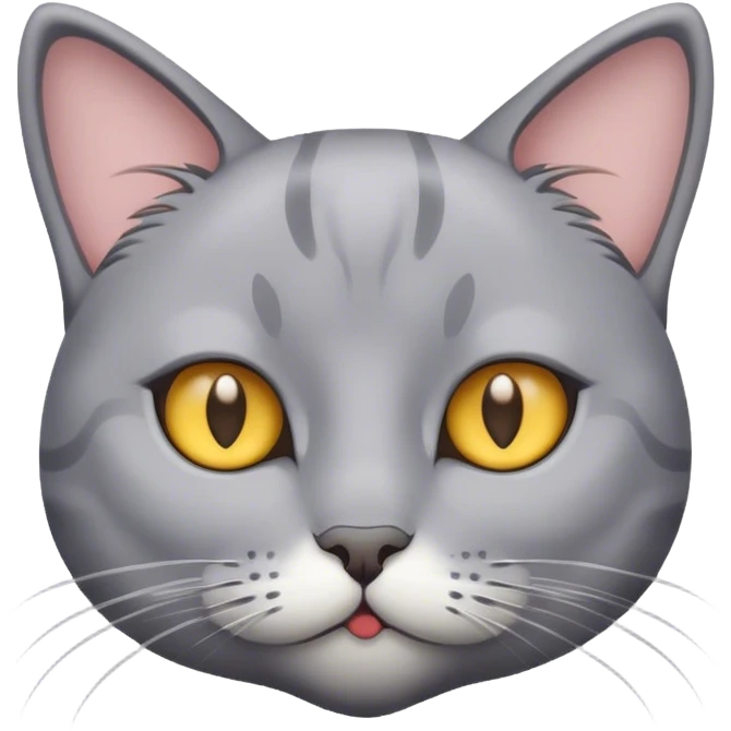 Gray cat whimsical  emoji