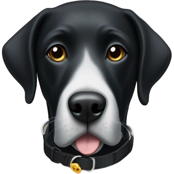 A black lab dog (just the head) with a collar that says Gus  emoji