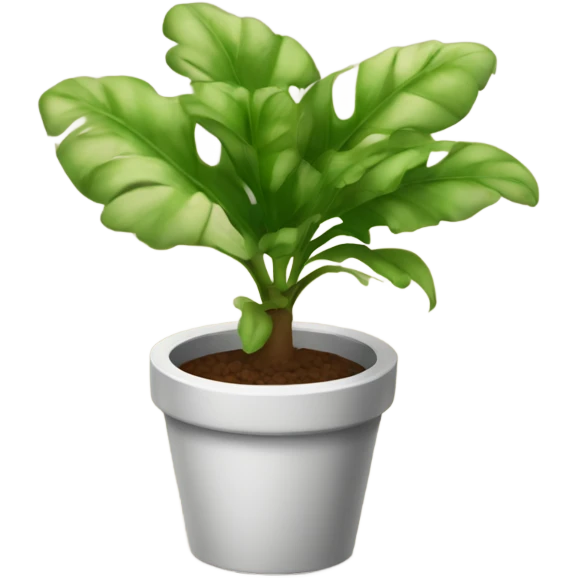 Potted pathos plant emoji
