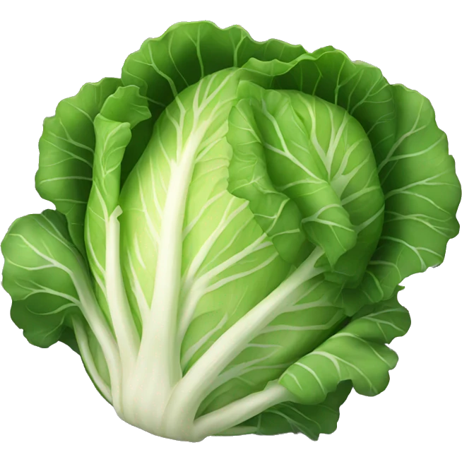cabbage emoji