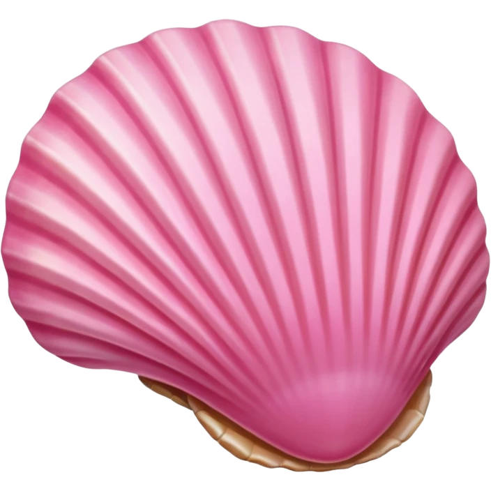 pink seashell emoji