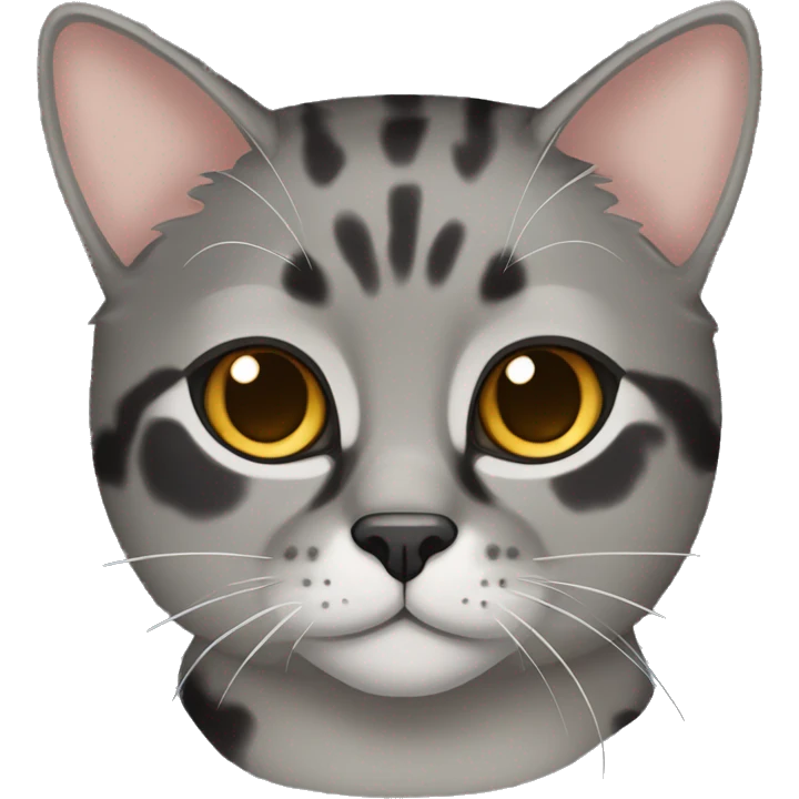 Gray tortoiseshell cat emoji