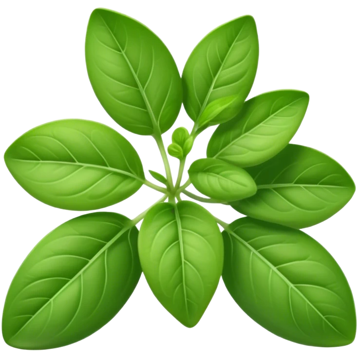 Marjoram herb  emoji