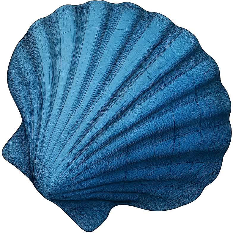 blue seashell, remove background emoji