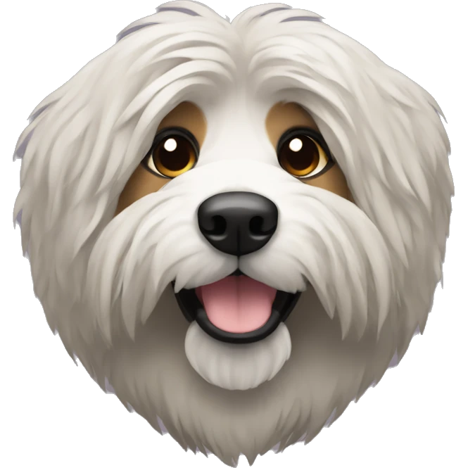 Catalan sheepdog black face emoji