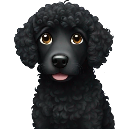 Curly haired black dog emoji