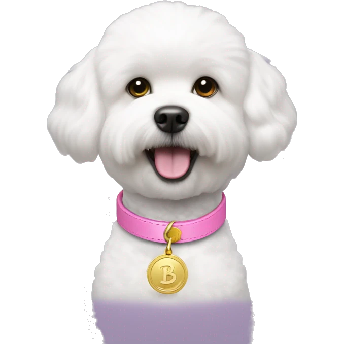 bichon dog wearing a pink collar with a gold coin shaped tag hanging from the collar emoji
