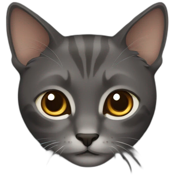dark grey amd brown cat emoji