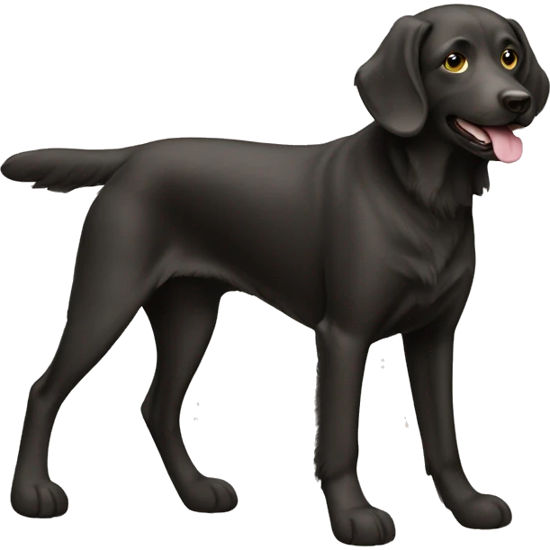 Flatcoat retriver dog emoji