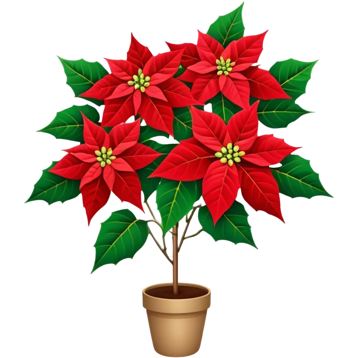 super big bouquet Poinsettia, stem, leaf, no pot emoji