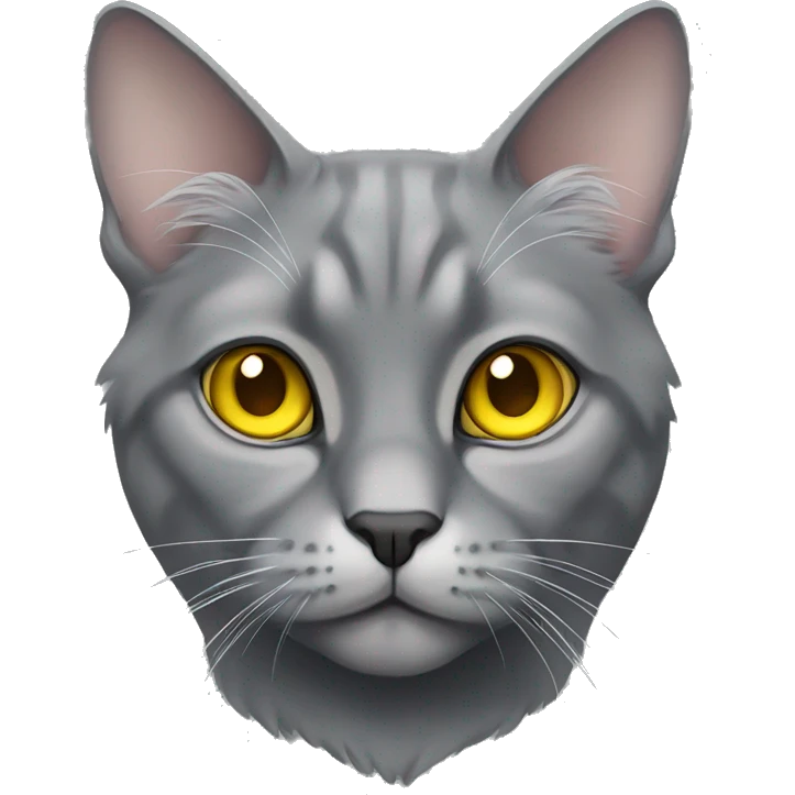 gray lop-eared cat with yellow eyes emoji