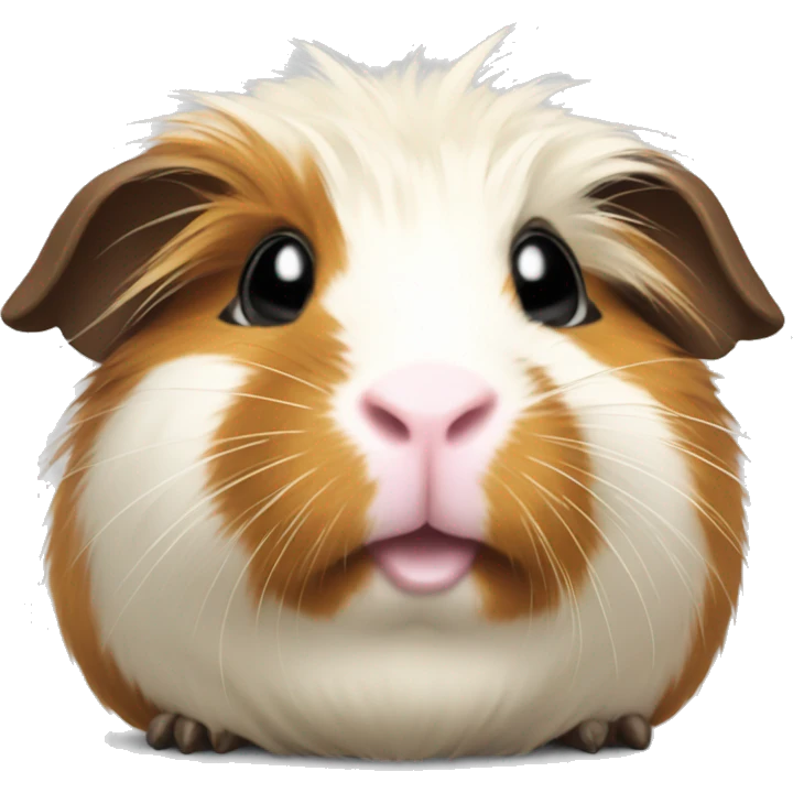 guinea pig with a top har emoji