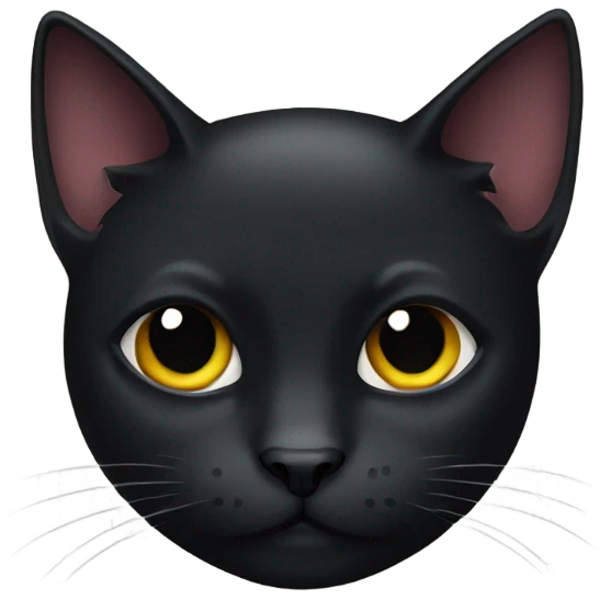 Black cat with a smug face emoji