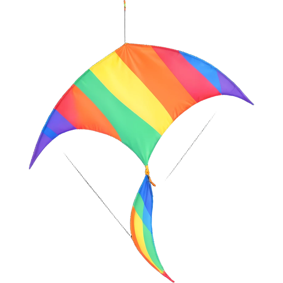 rainbow parafoil kite emoji