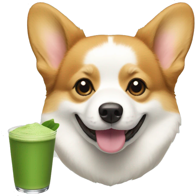 Corgi and matcha  emoji