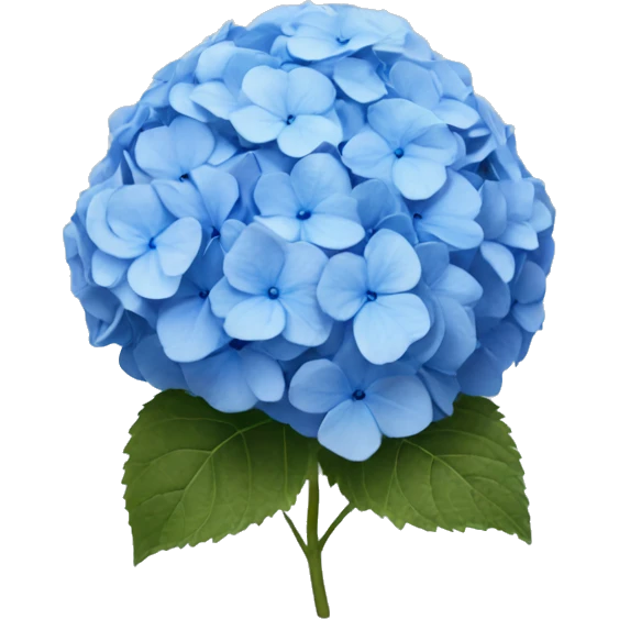 Blue hydrangea  emoji