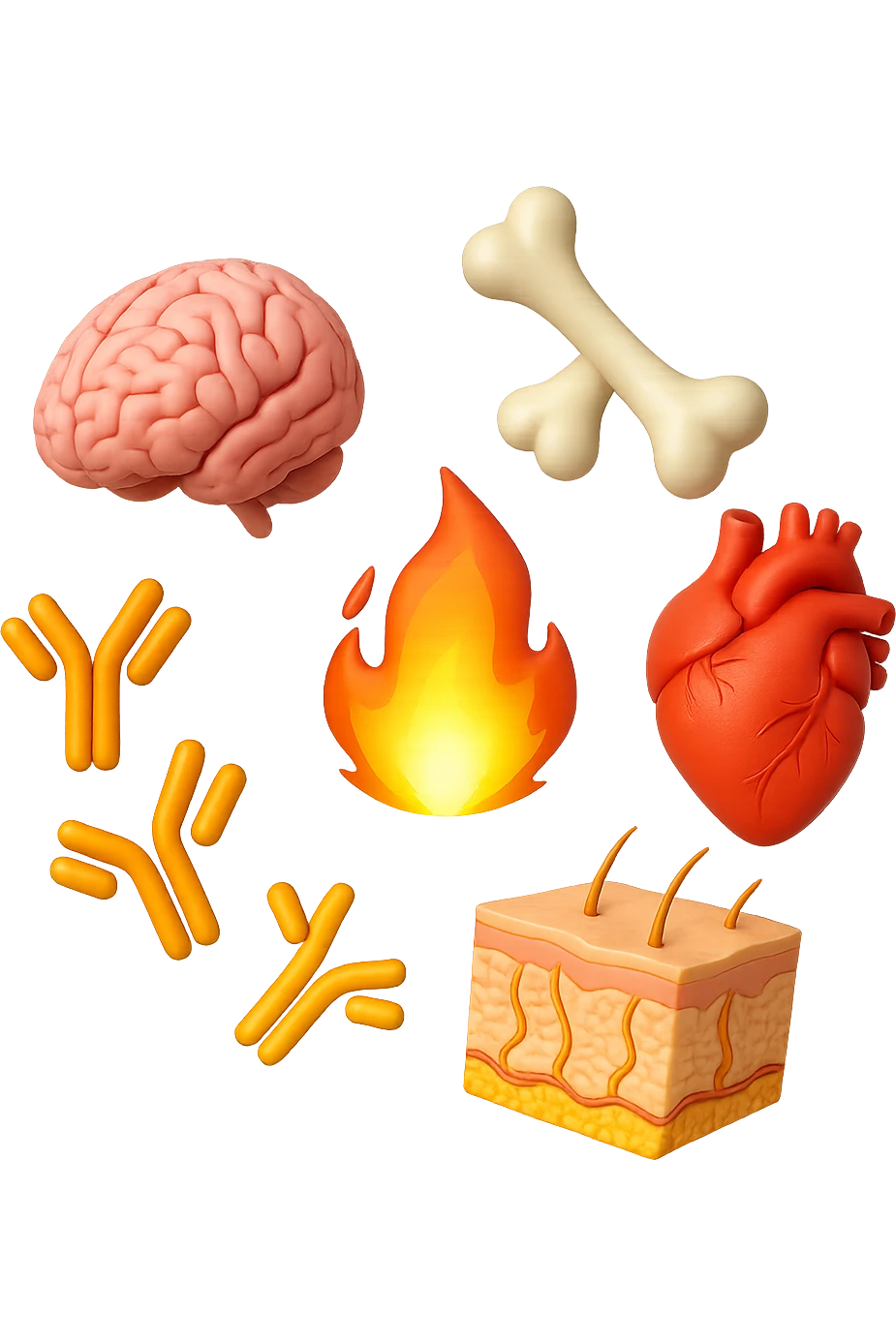 EMOJI STILE IPHONE 3D DI cervello, ossa, cuore, porzione di epidermide e cellule di anticorpi che girano in tondo, al centro di questi elementi c'è una fiamma 3d  FALLO MOLTO REALISTICO IN 3D emoji