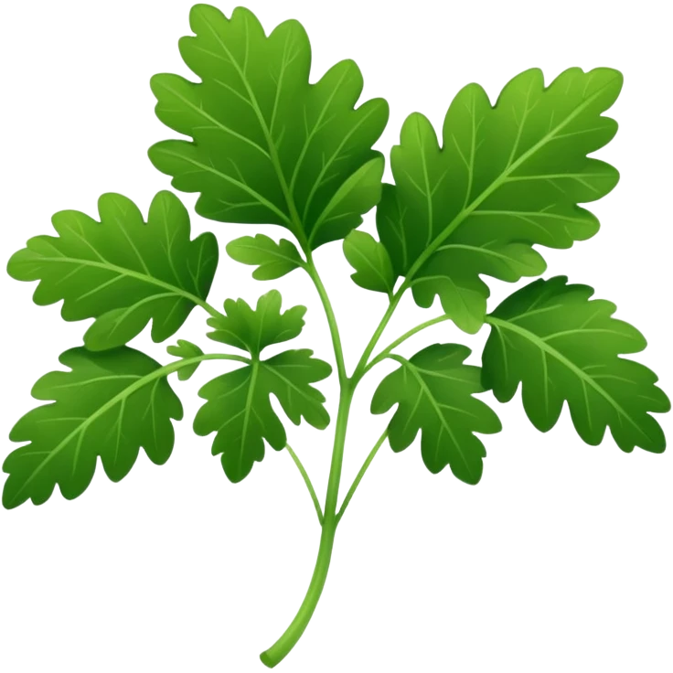 Cilantro  emoji