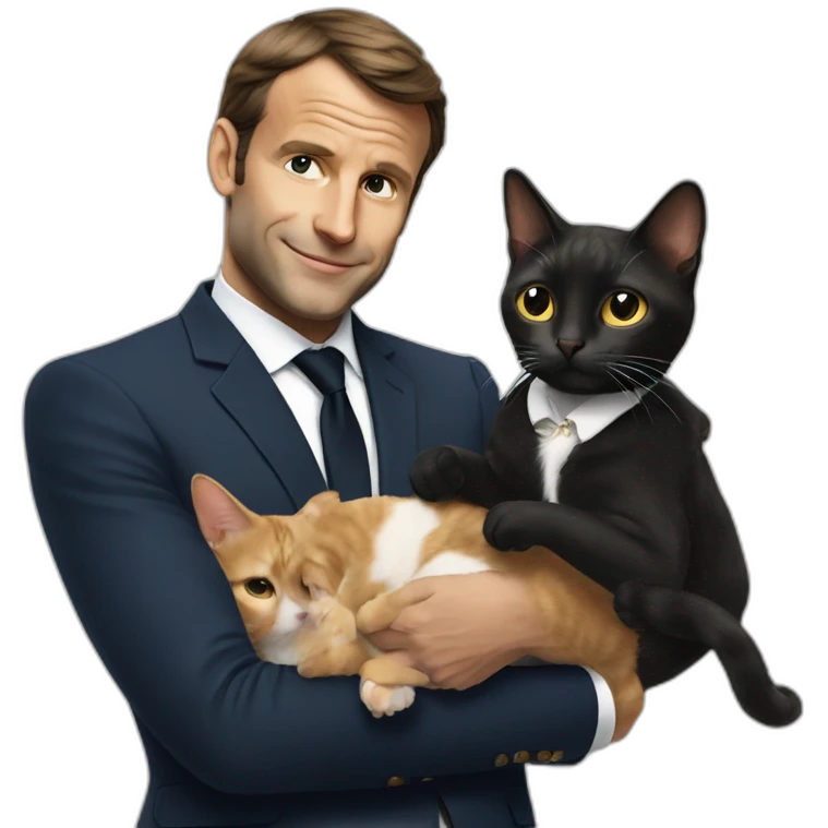 Macron holding a cat emoji