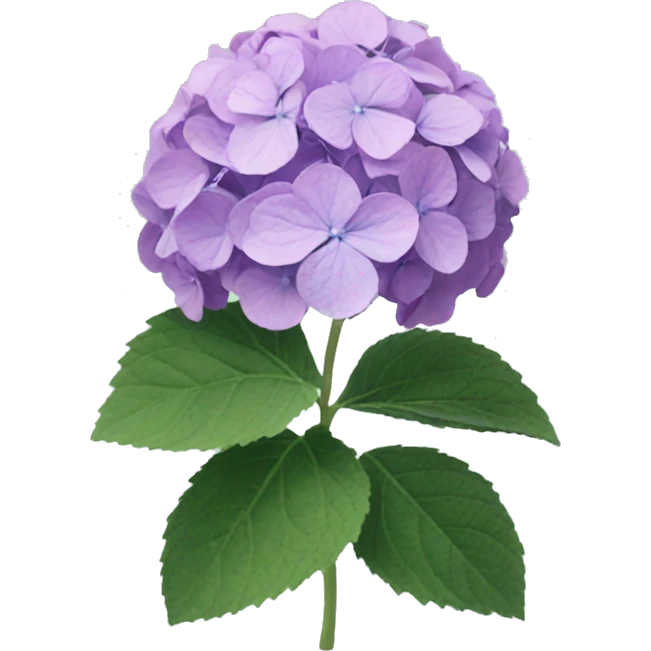 Hydrangea  emoji