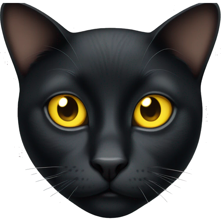 Black cat with yellow eyes  emoji