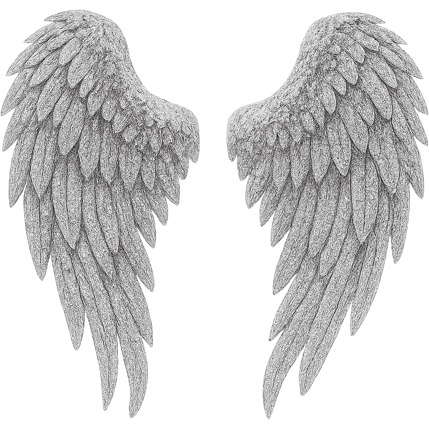 Silver glitter wings, remove background emoji