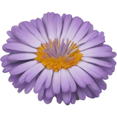 Calendula lilac emoji