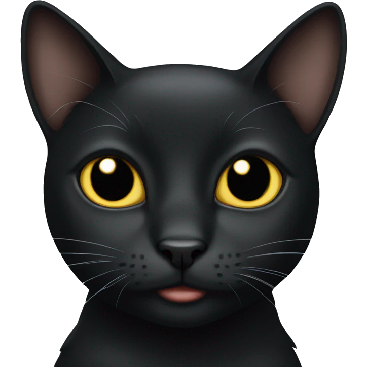 All black cat emoji